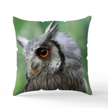 White-faced Owl Cushion